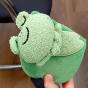 Beautiful baby bag shaped like a green frog